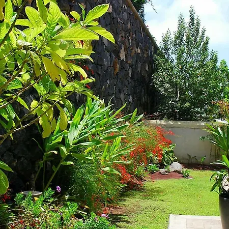House Sea View Private Garden, 5 People, Optical Fiber بيت للعطل Puerto de la Madera