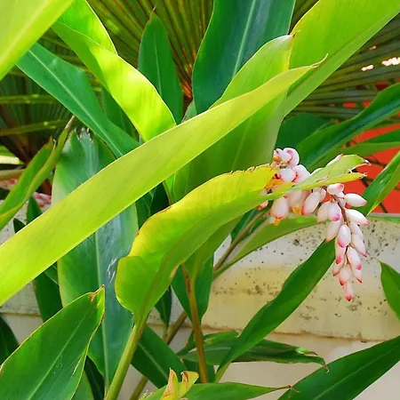 بيت للعطل House Sea View Private Garden, 5 People, Optical Fiber