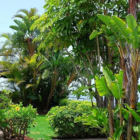 House Sea View Private Garden, 5 People, Optical Fiber بيت للعطل *